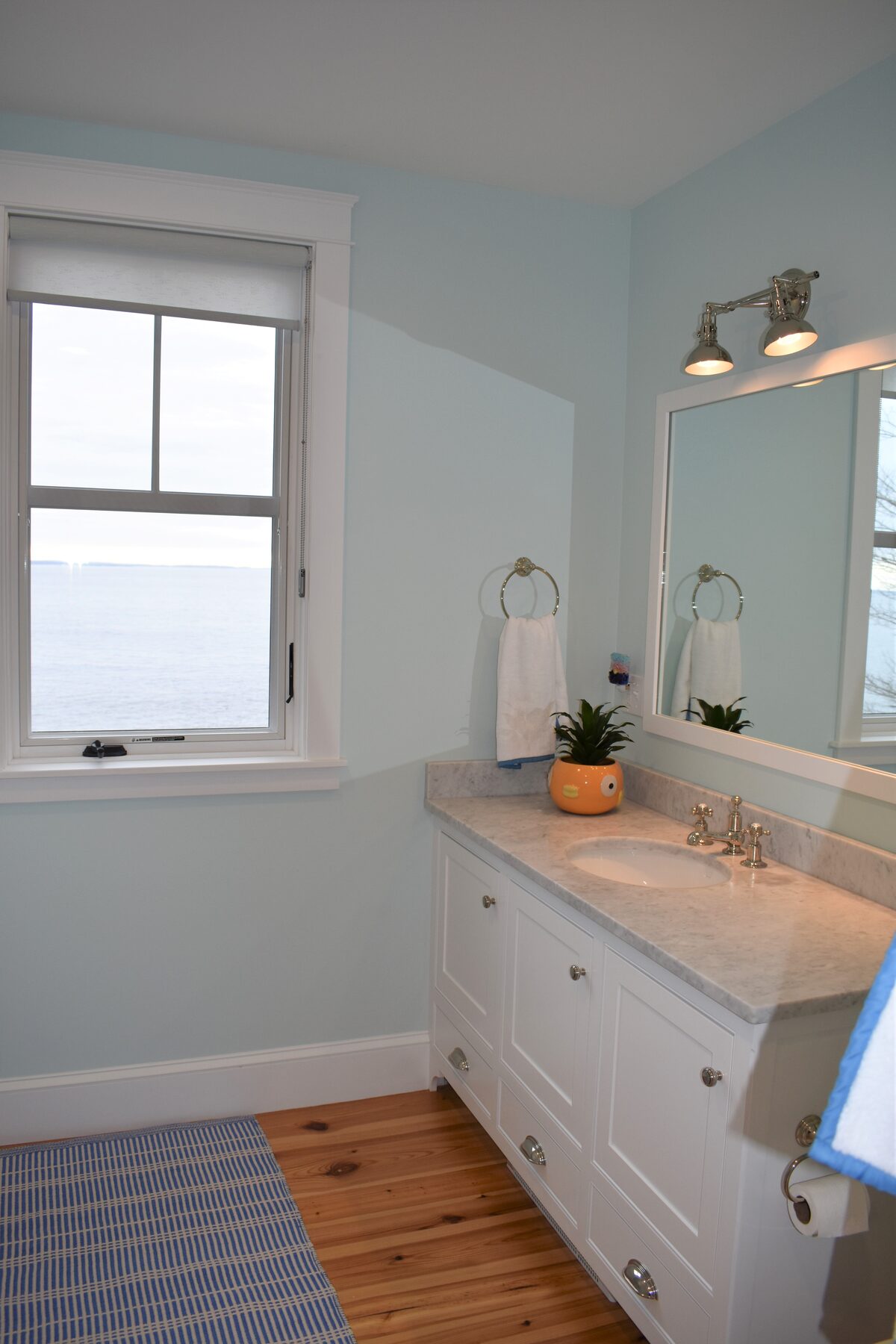 Powder room vanity with mirror and window